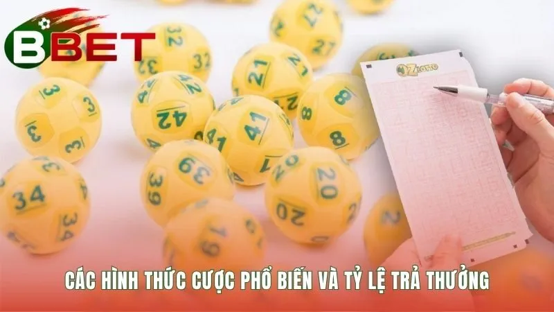 Lô đề siêu tốc cung cấp tỷ lệ thưởng cạnh tranh hấp dẫn