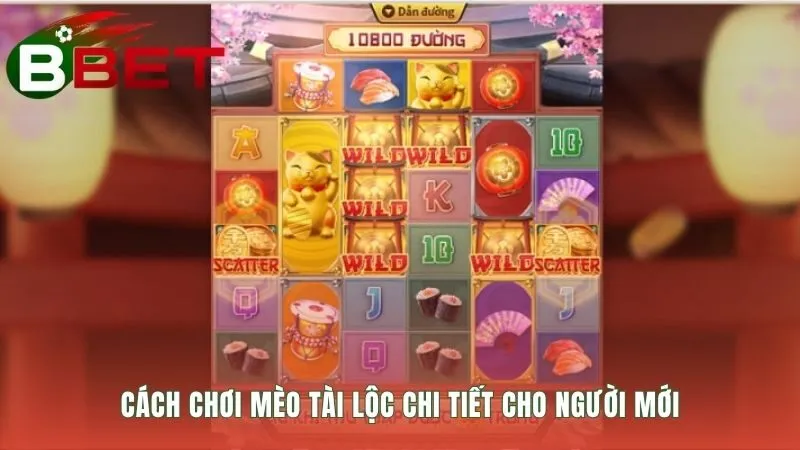 Hướng dẫn chơi Mèo Tài Lộc qua các bước nhanh chóng