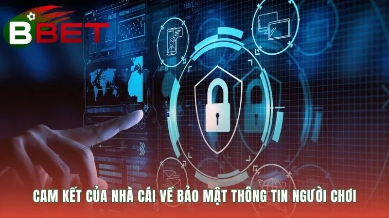 Cam kết dữ liệu với mã hóa SSL 128-bit và tường lửa