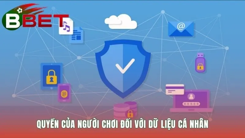 Chính sách bảo mật trao quyền truy cập chỉnh sửa và xóa dữ liệu
